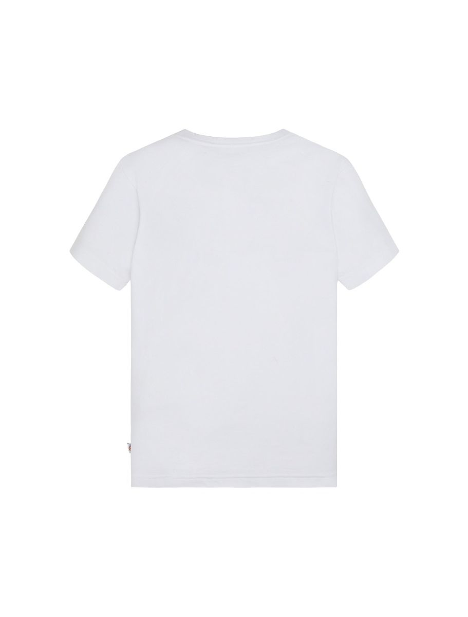 T-shirts korte mouw wit Dickies
