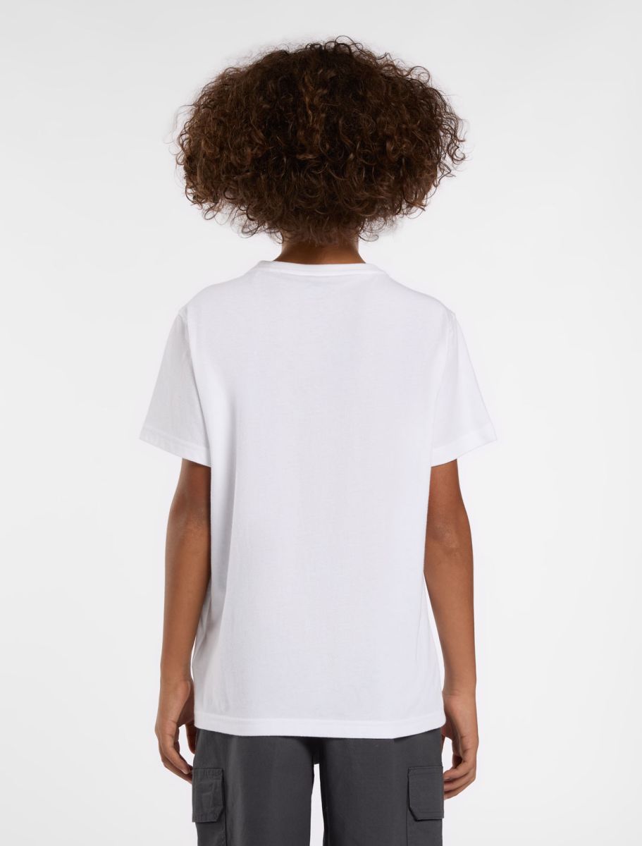 T-shirts korte mouw wit Dickies