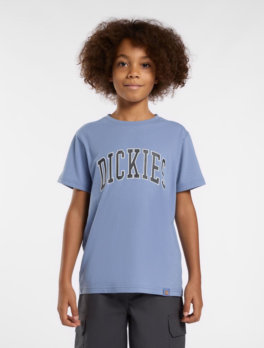 T-shirts korte mouw blauw Dickies
