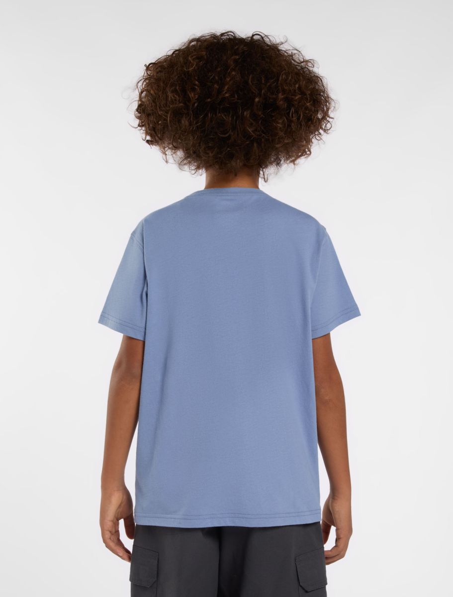 T-shirts korte mouw blauw Dickies