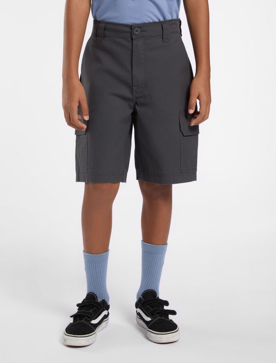 Shorten grijs Dickies