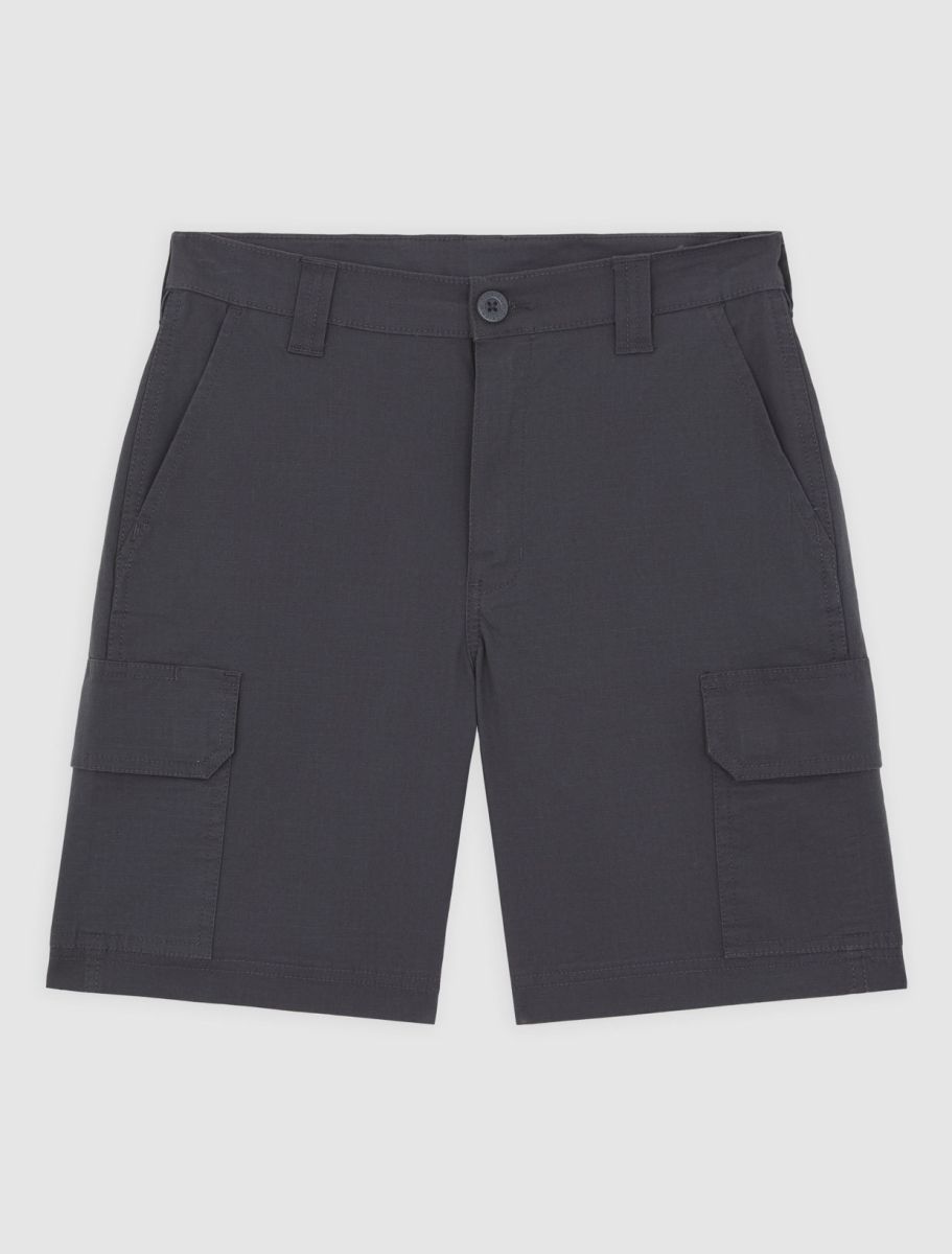 Shorten grijs Dickies