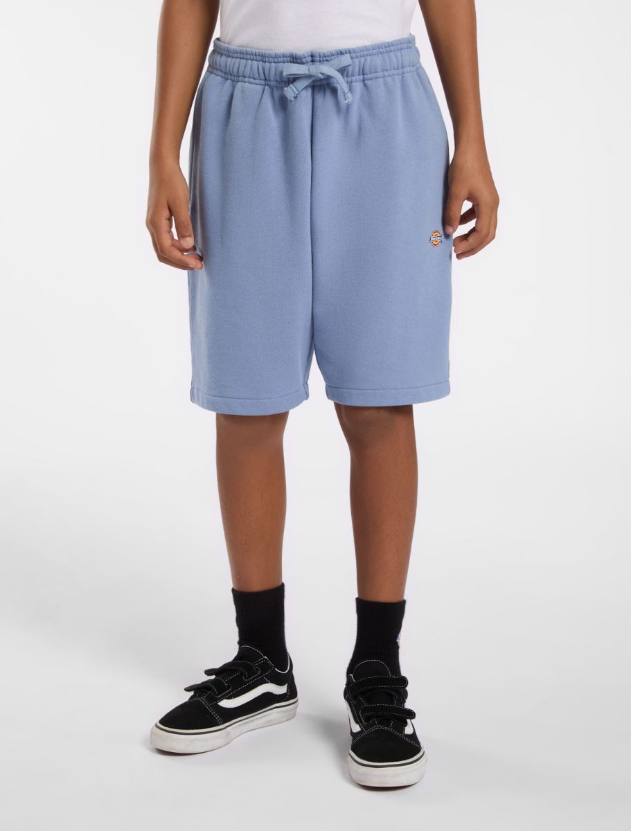 Shorten blauw Dickies