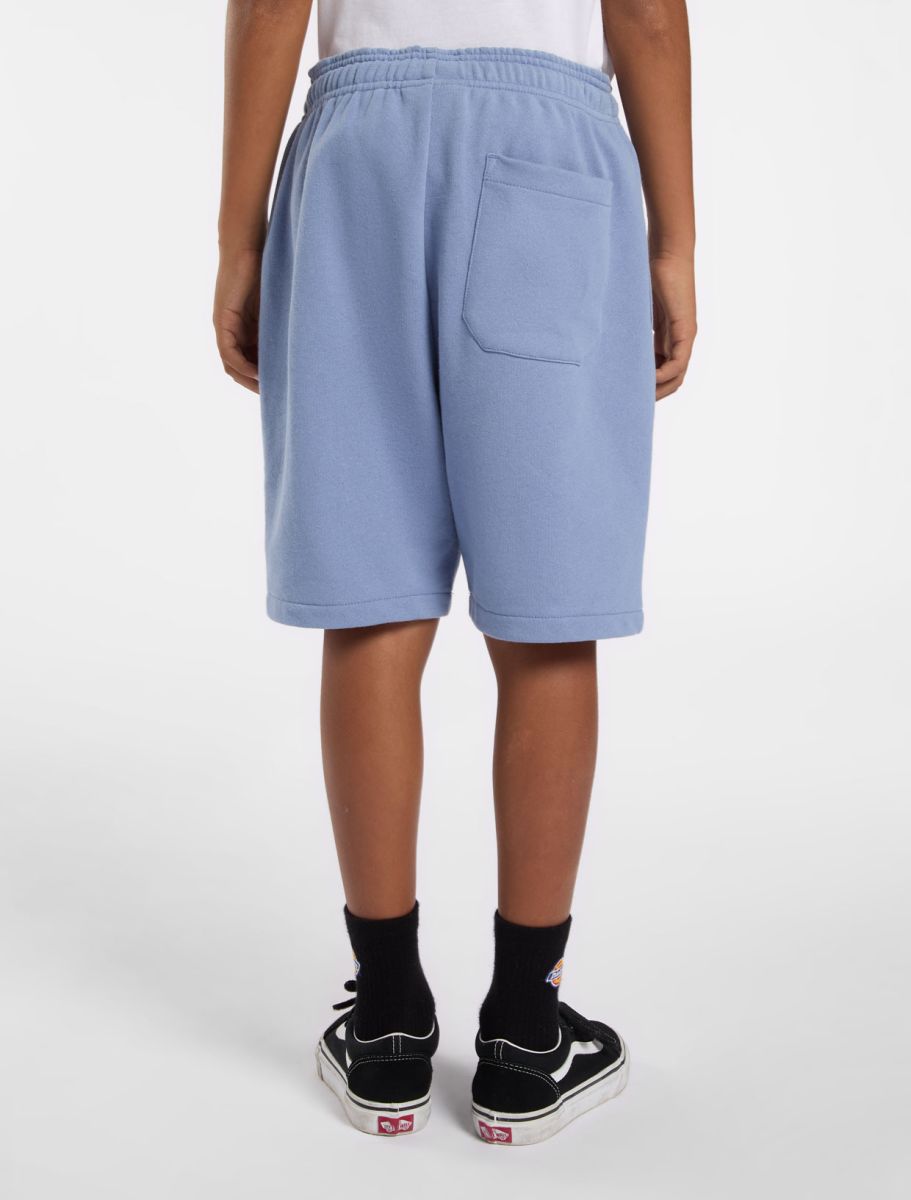 Shorten blauw Dickies