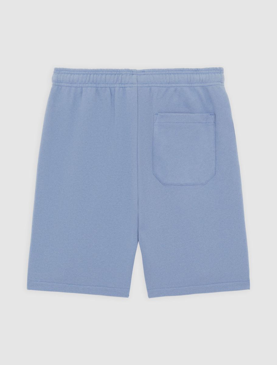 Shorten blauw Dickies