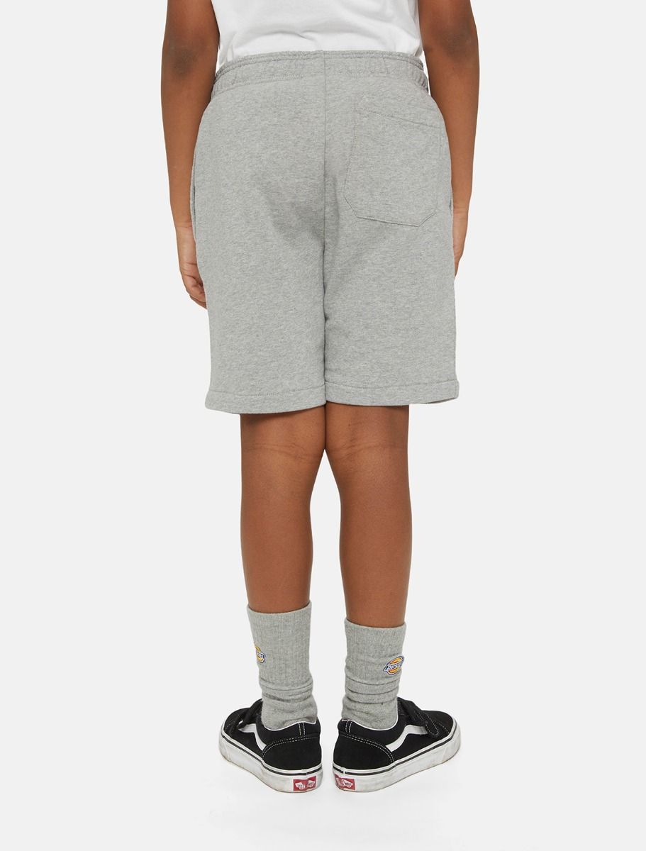 Shorten grijs Dickies