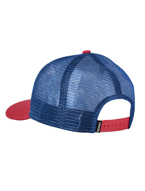 Hoeden/Petten multicolor Iriedaily