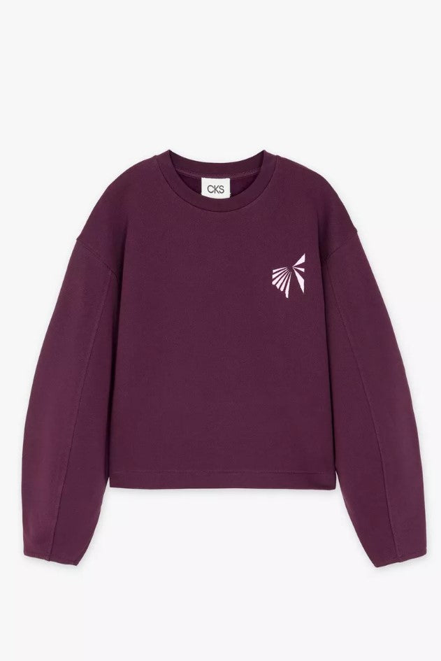 Sweaters paars CKS