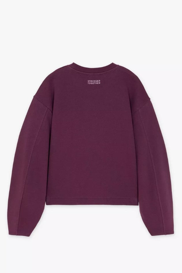 Sweaters paars CKS