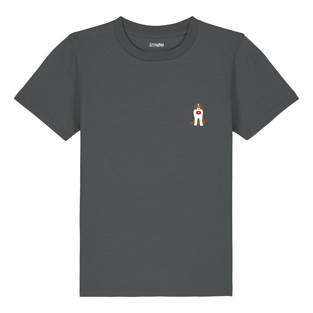 T-shirts korte mouw grijs STRØM
