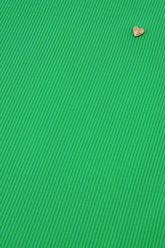 T-shirts korte mouw groen Fabienne Chapot