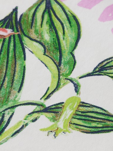 T-shirts korte mouw wit Scotch & Soda