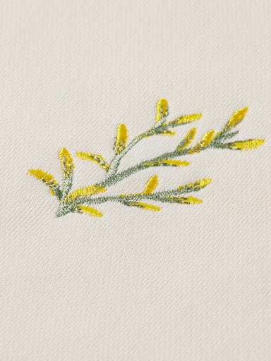 Sweaters  Scotch & Soda