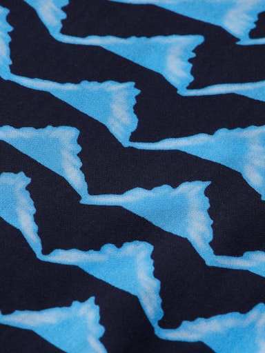 Blouses lange mouw blauw Scotch & Soda