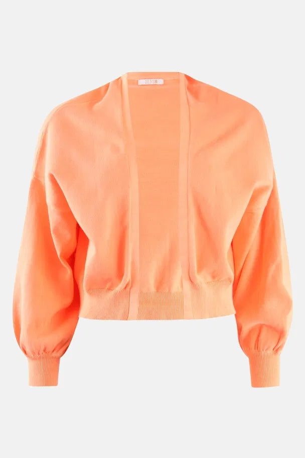 Cardigans oranje Senso