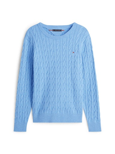 Sweaters blauw Tommy Hilfiger