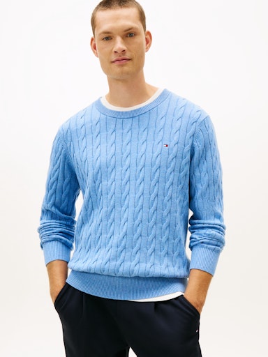 Sweaters blauw Tommy Hilfiger