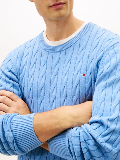 Sweaters blauw Tommy Hilfiger