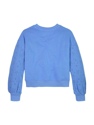 Sweaters blauw Tommy Hilfiger