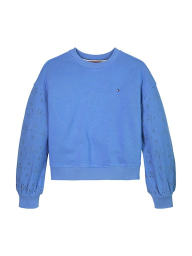 Sweaters blauw Tommy Hilfiger