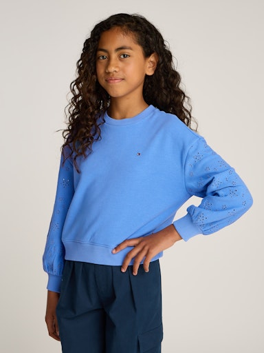 Sweaters blauw Tommy Hilfiger