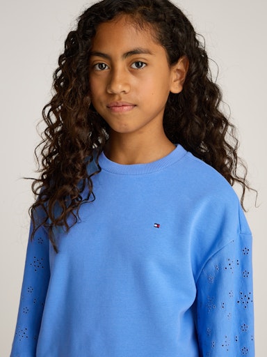 Sweaters blauw Tommy Hilfiger