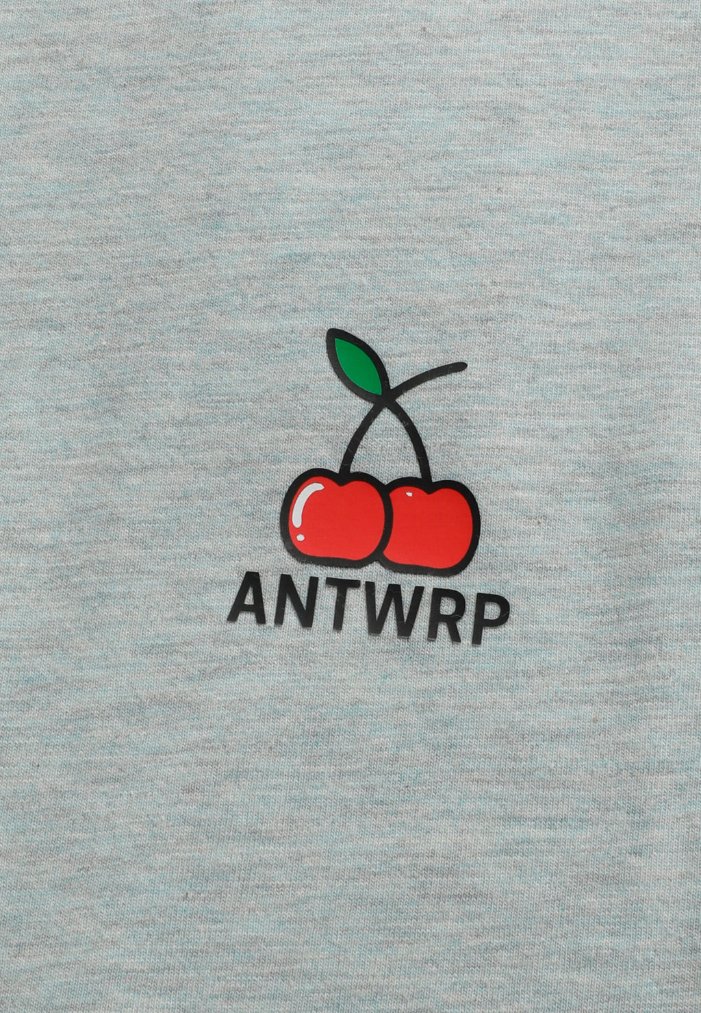 T-shirts korte mouw blauw ANTWRP