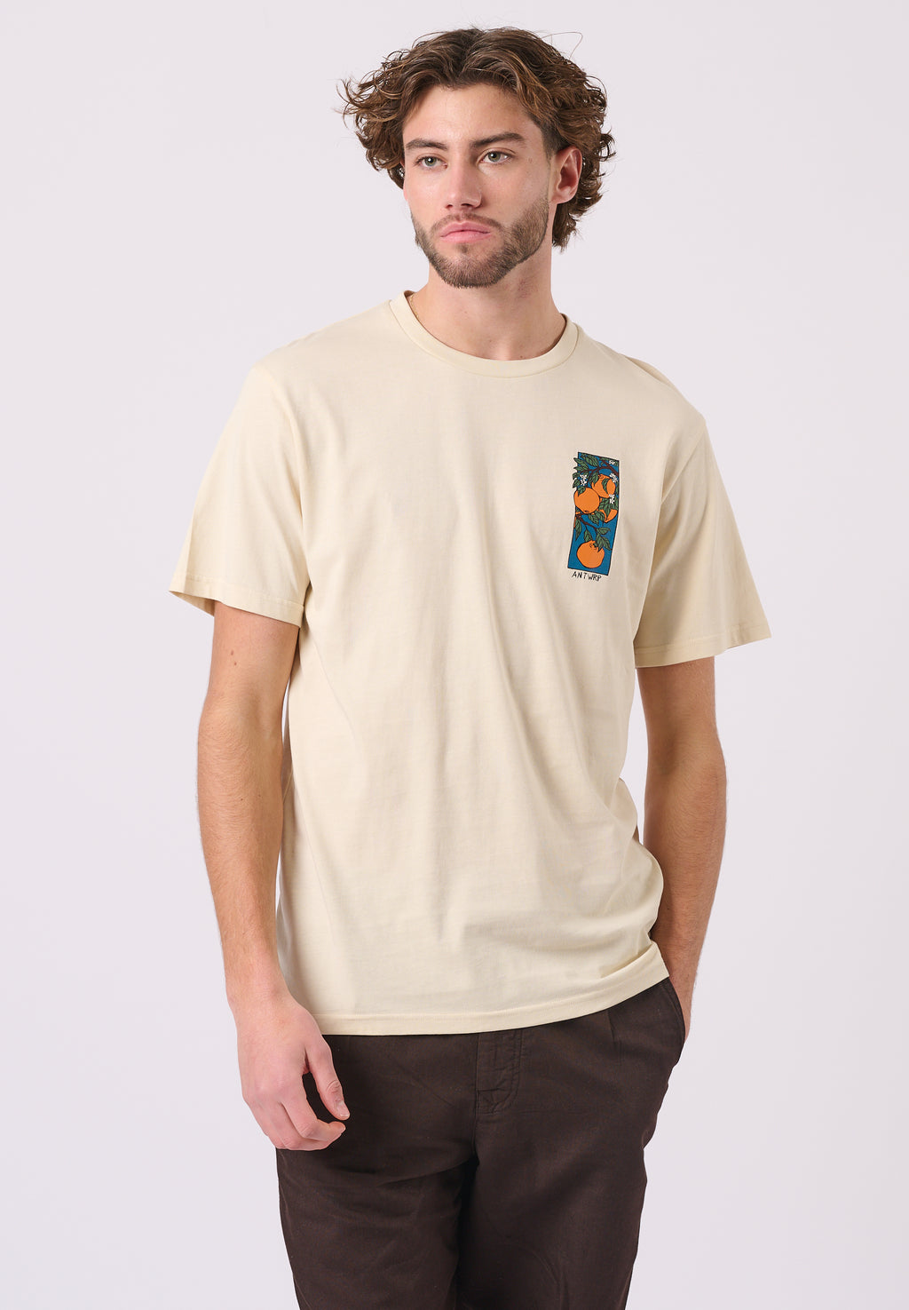 T-shirts korte mouw beige ANTWRP