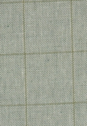 Kostuumgilets groen Roy Robson