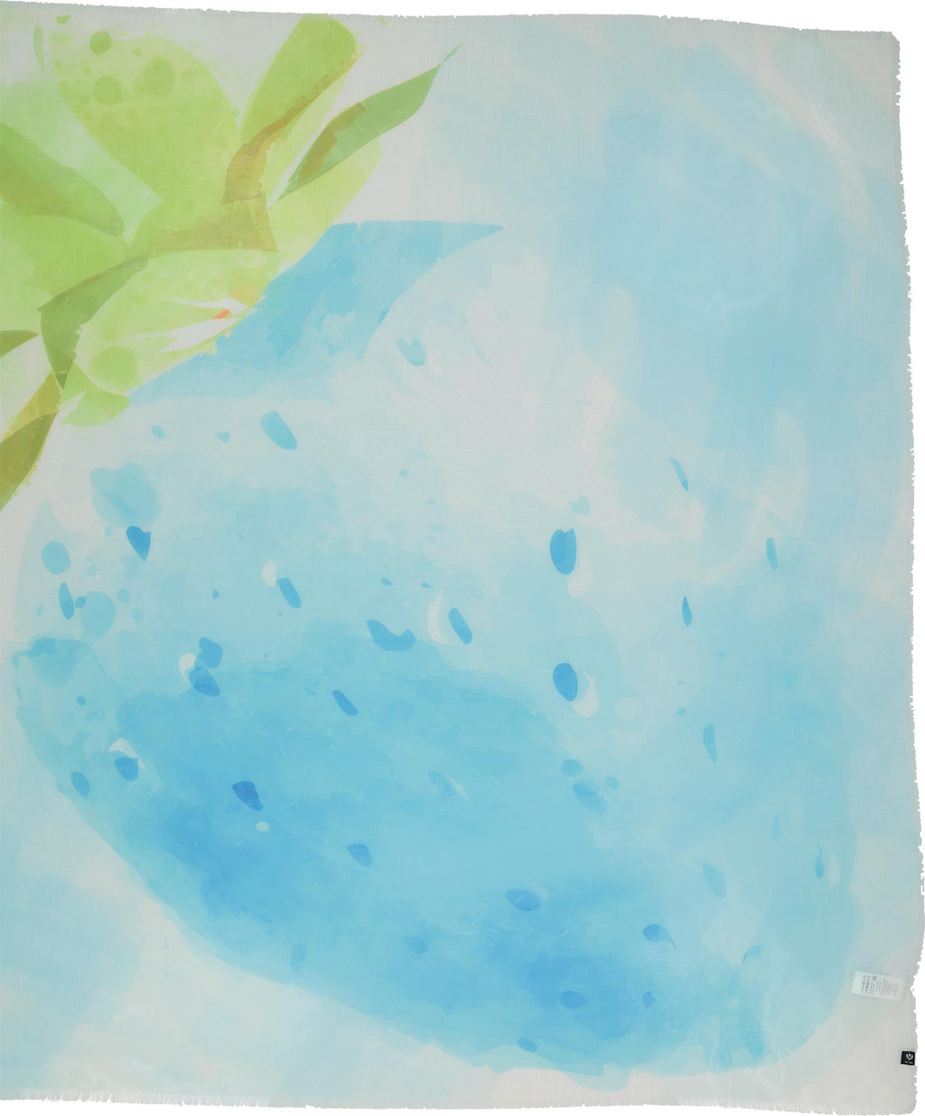 Sjaals multicolor Fraas