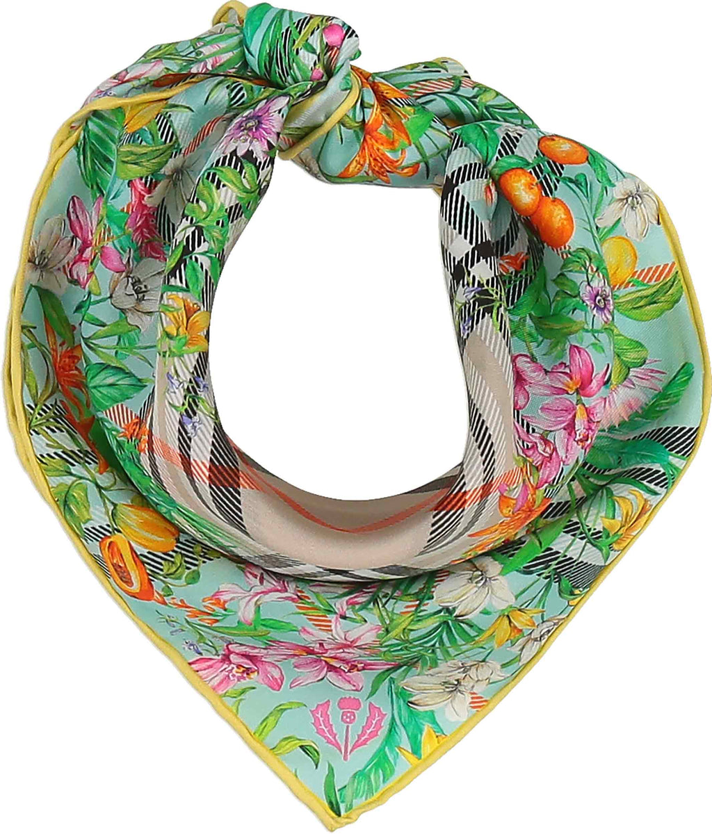 Sjaals multicolor Fraas