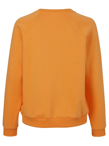 Sweaters oranje eiszeit
