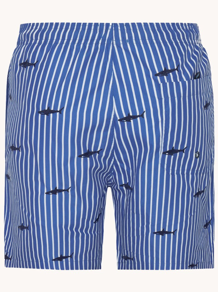 Zwembroeken blauw A Fish Named Fred