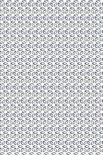 Hemden korte mouw multicolor R.B. Boston