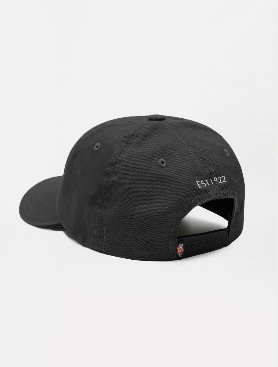 Hoeden/Petten zwart Dickies