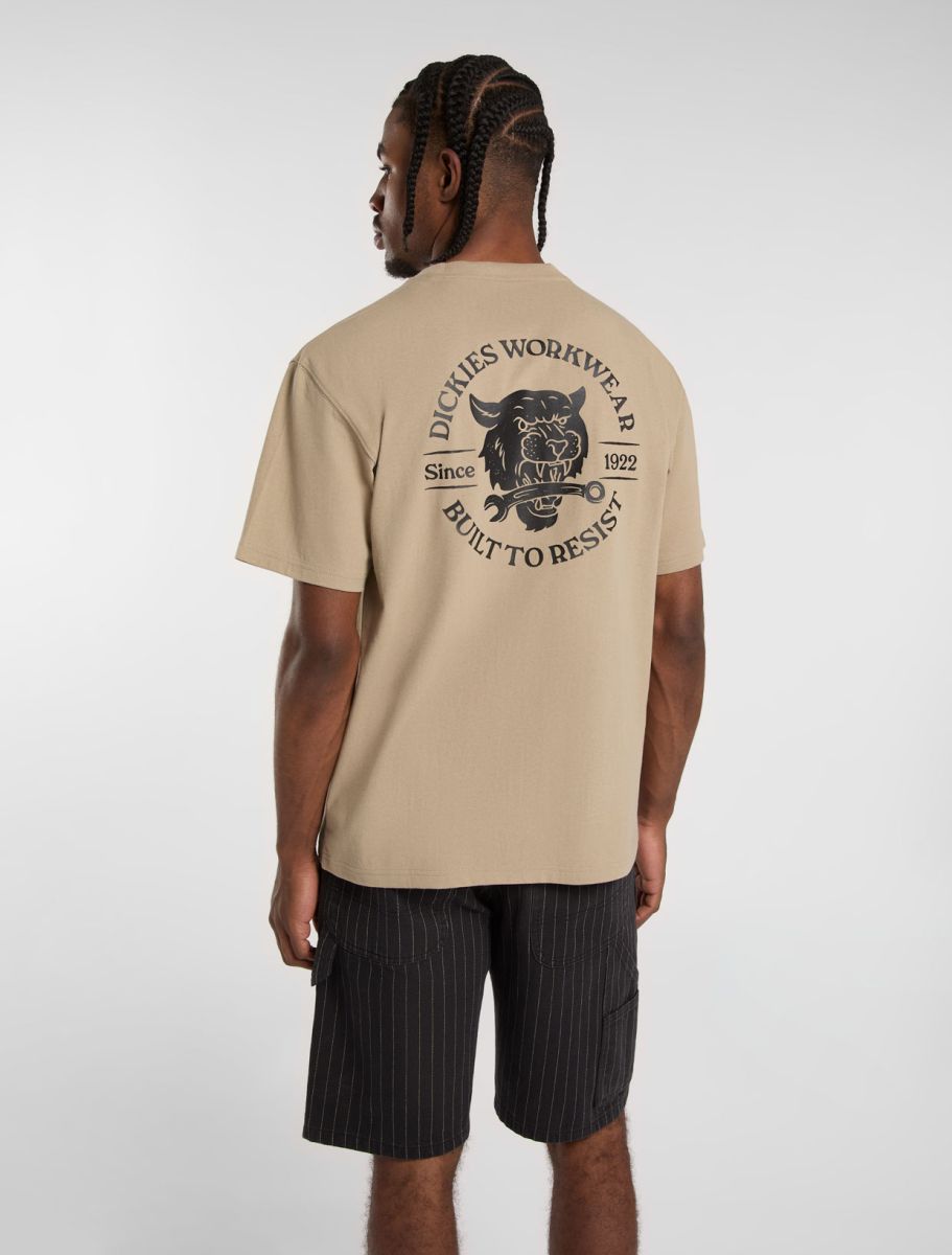T-shirts korte mouw bruin Dickies