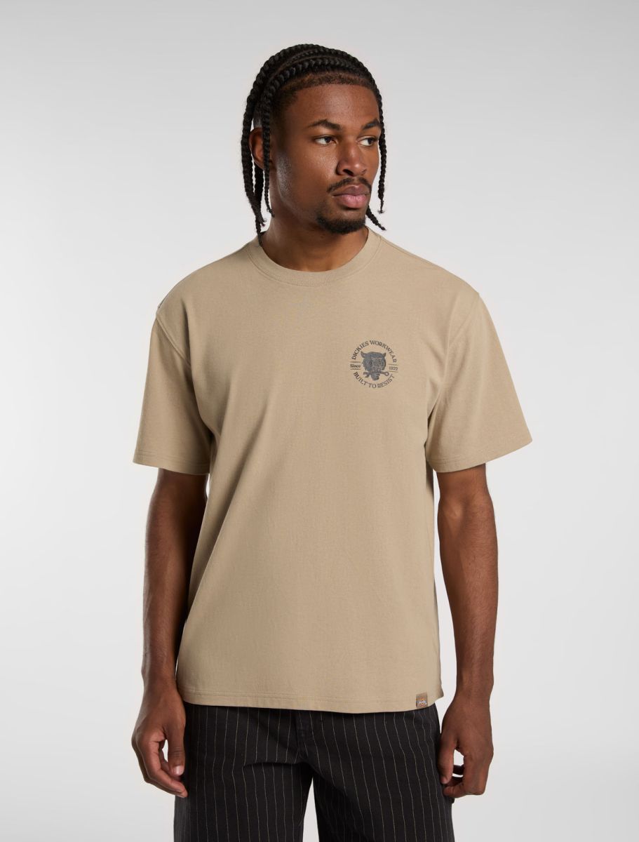 T-shirts korte mouw bruin Dickies