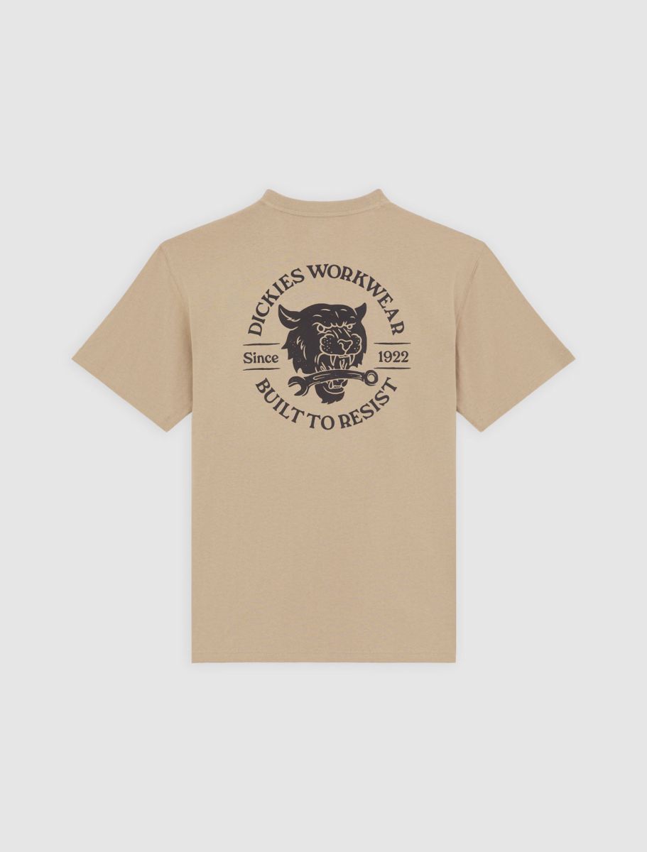 T-shirts korte mouw bruin Dickies