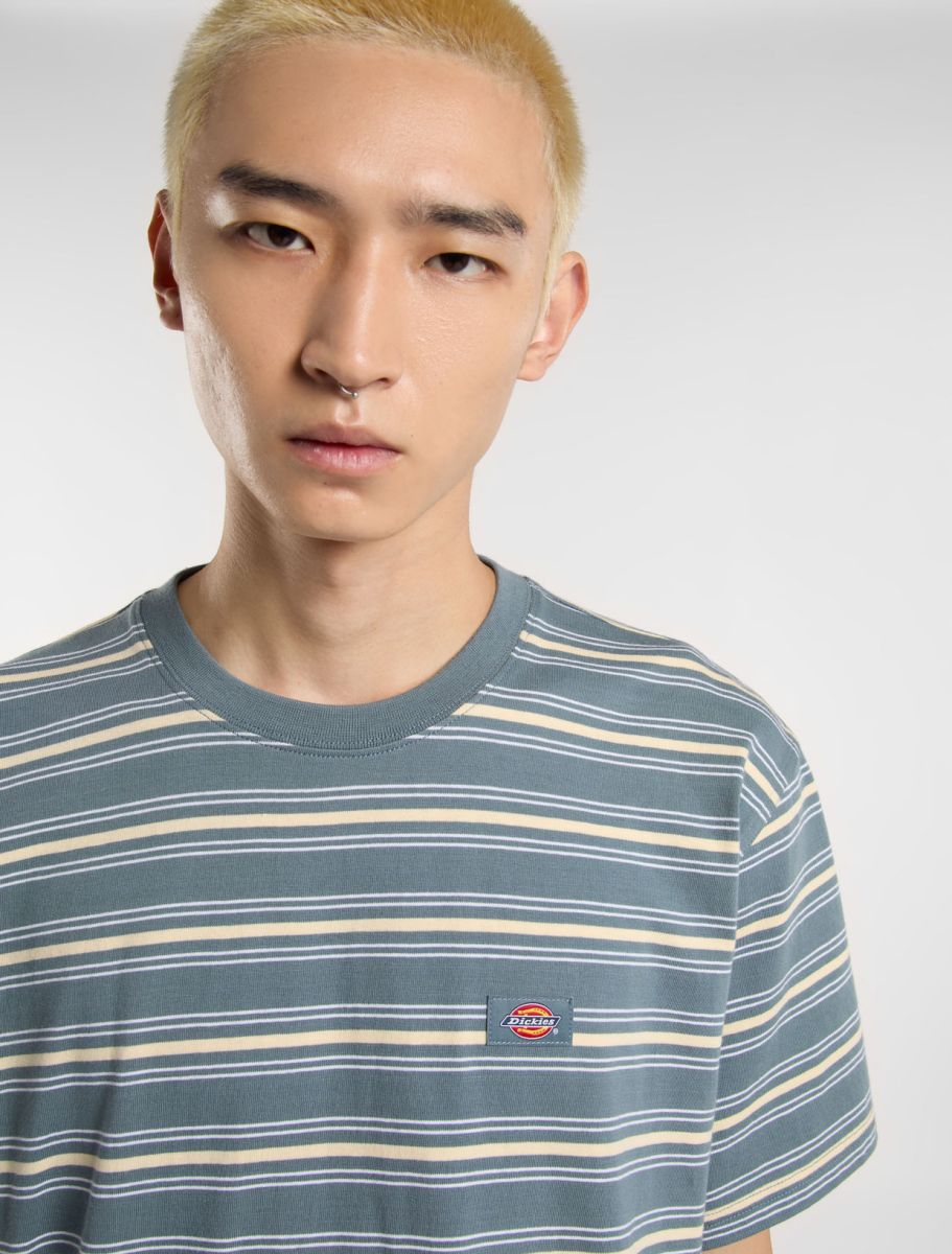 T-shirts korte mouw grijs Dickies
