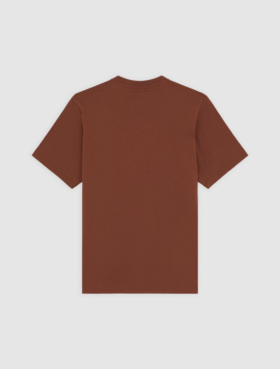 T-shirts korte mouw bruin Dickies