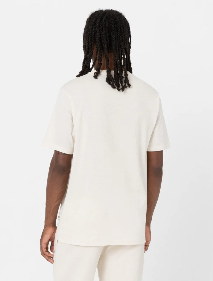 T-shirts korte mouw wit Dickies