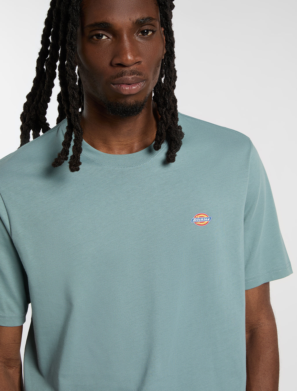 T-shirts korte mouw blauw Dickies