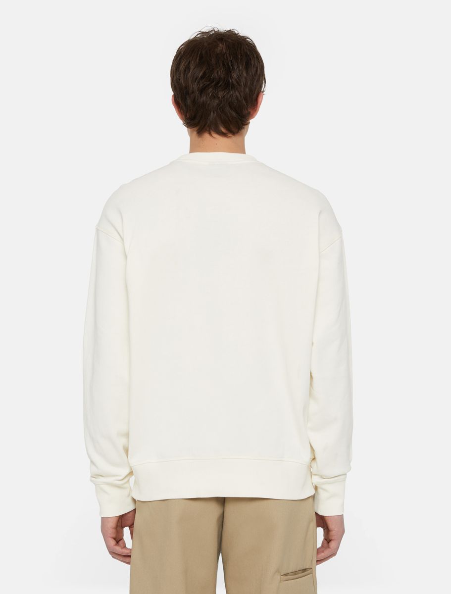 Sweaters beige Dickies