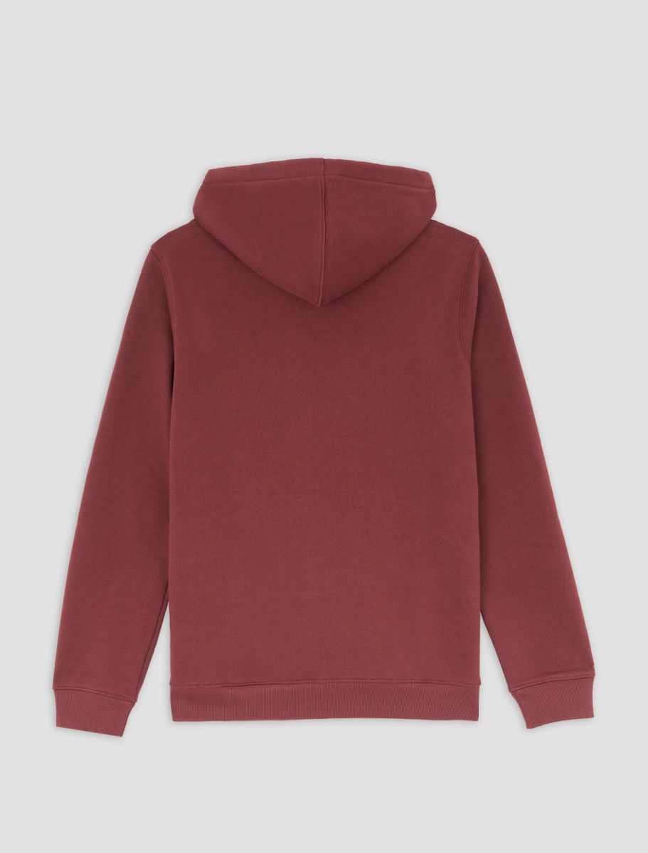 Sweaters bruin Dickies