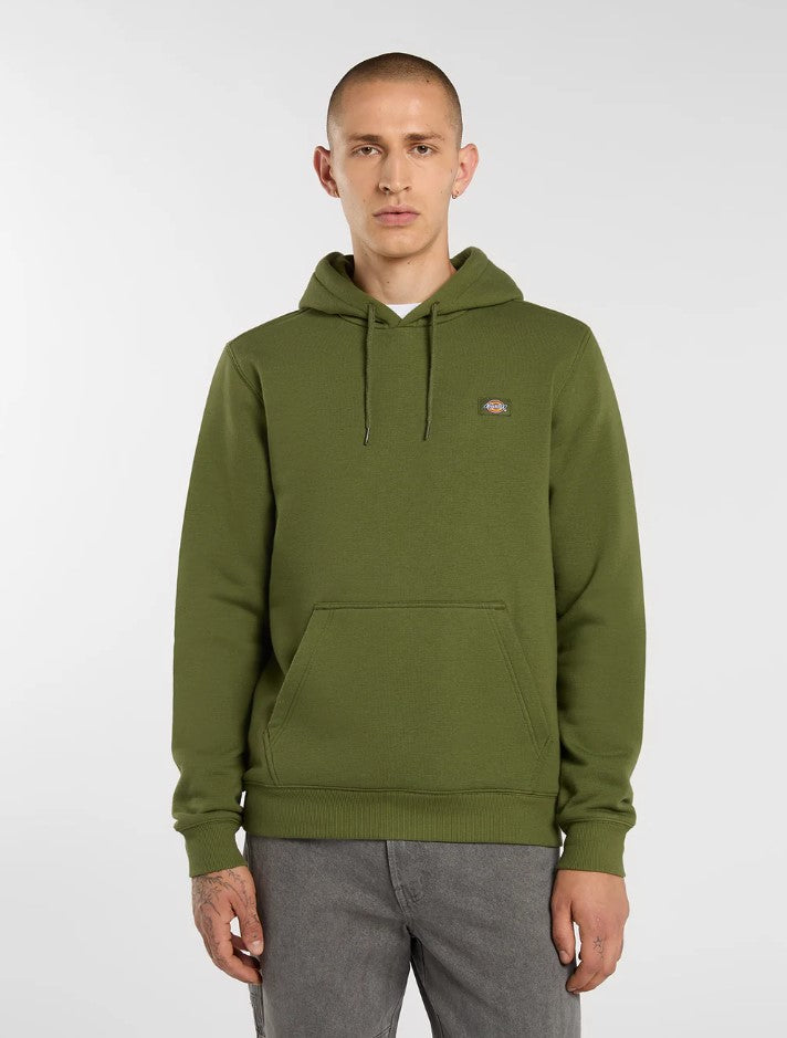 Sweaters groen Dickies