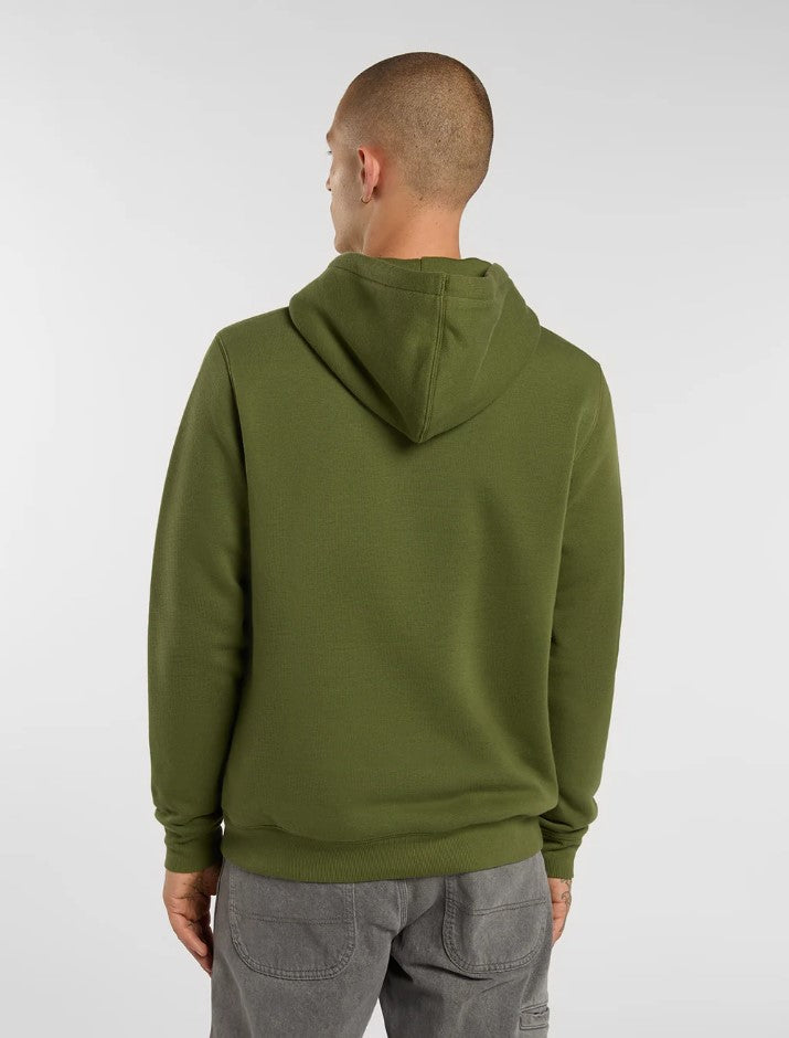 Sweaters groen Dickies