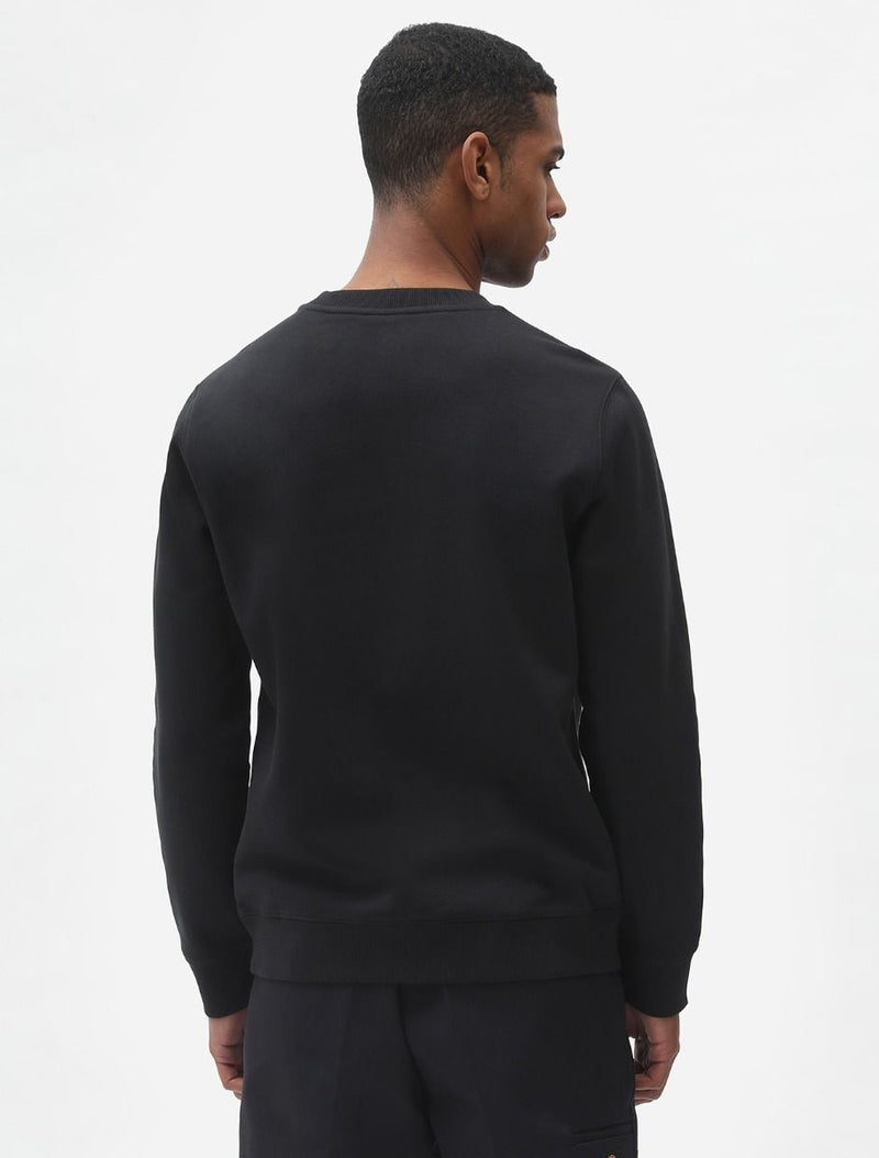 Sweaters zwart Dickies