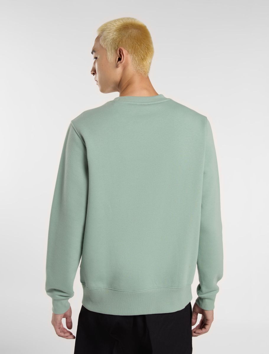 Sweaters groen Dickies