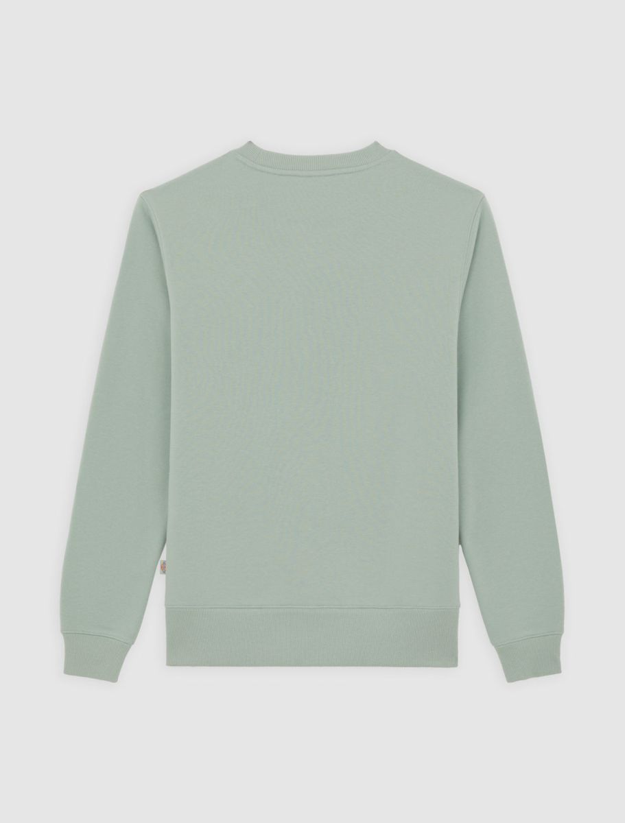 Sweaters groen Dickies
