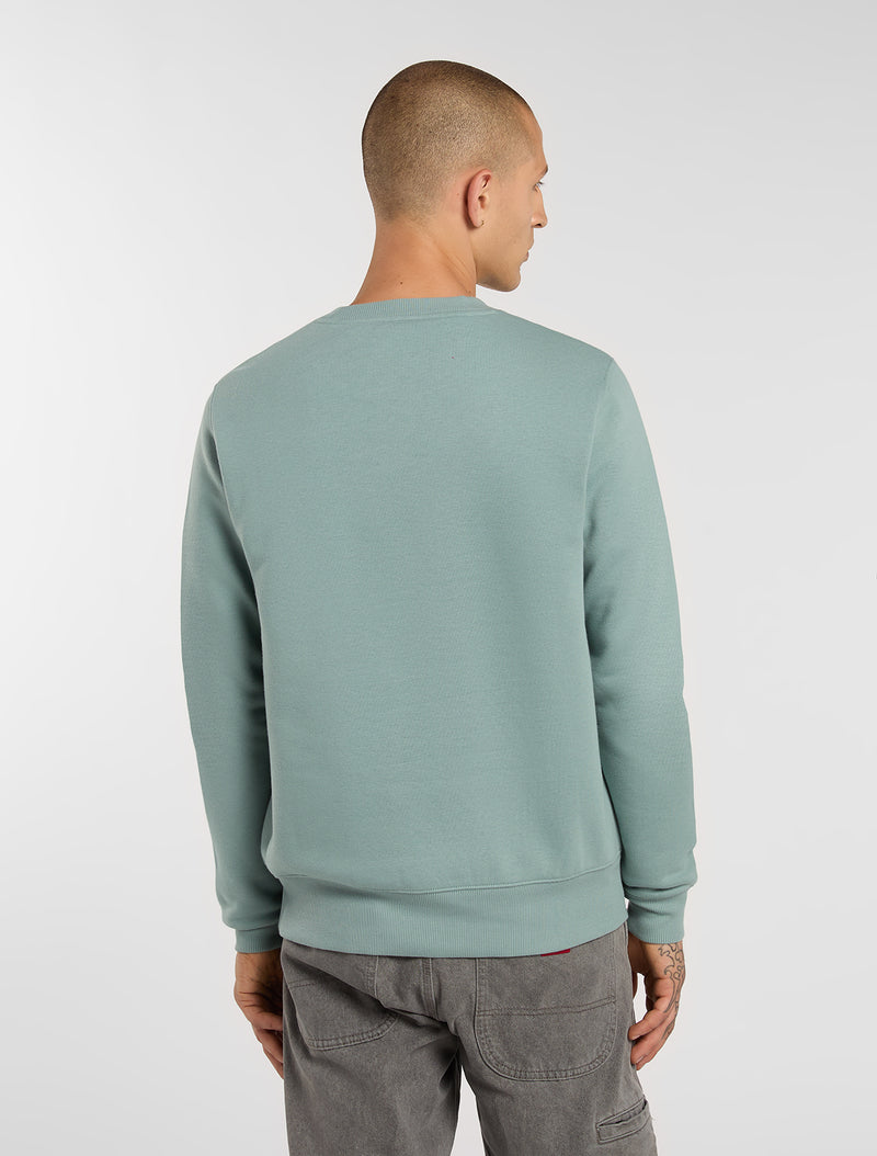 Sweaters blauw Dickies